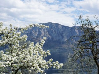 Appartamento per vacanze Unterach am Attersee Ambiente 13