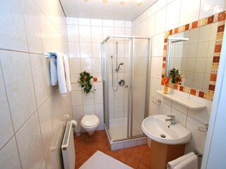 Appartamento per vacanze Hippach Caratteristiche 14