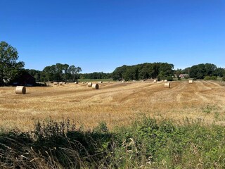 Holiday house Ystad  24