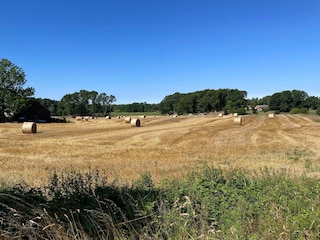 Ferienhaus Ystad  28