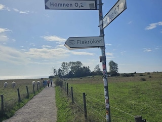 Ferienhaus Ystad  16