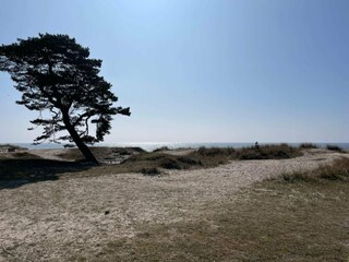 Holiday house Ystad  29