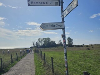 Ferienhaus Ystad  31