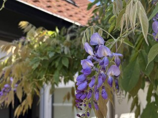 Holiday house Glemmingebro Outdoor Recording 9