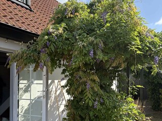 Holiday house Glemmingebro Outdoor Recording 2