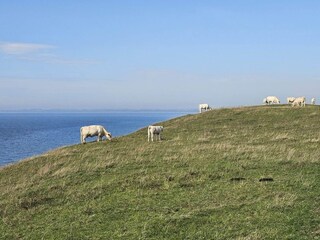 Vakantiehuis Glemmingebro  24