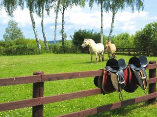 Vakantiehuis Plau am See  32