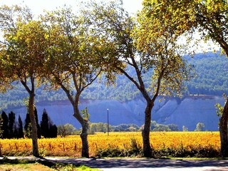 Casa per le vacanze Ferrals-les-Corbières Ambiente 17