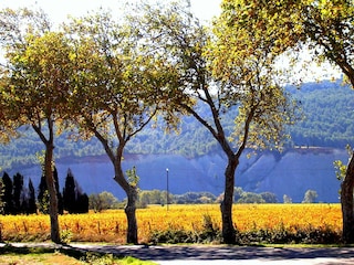 Vakantiehuis Ferrals-les-Corbières Omgeving 17