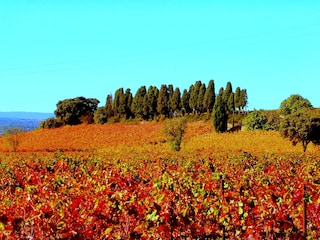 Vakantiehuis Ferrals-les-Corbières Omgeving 19