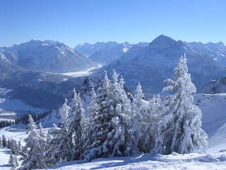 Appartamento per vacanze Ehenbichl  20