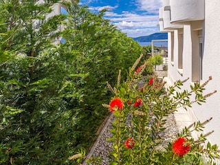 Villa Pinezići (Krk) Outdoor Recording 16