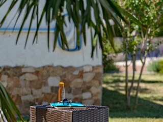 Ferienhaus Summer Oasis