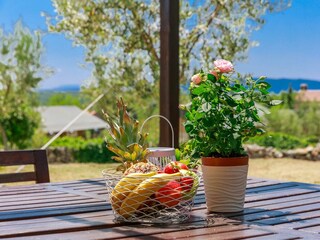 Casa per le vacanze Nenadići Registrazione all'aperto 14