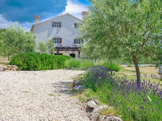 Casa per le vacanze Nenadići Registrazione all'aperto 21