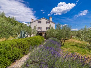 Casa de vacaciones Nenadići Entorno 30