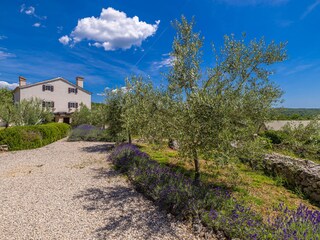 Casa de vacaciones Nenadići Entorno 32