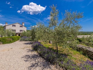 Maison de vacances Nenadići Environnement 32