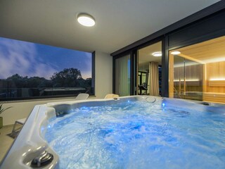 Villa Vrh Caratteristiche 51