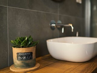 Villa Vrh Caratteristiche 32