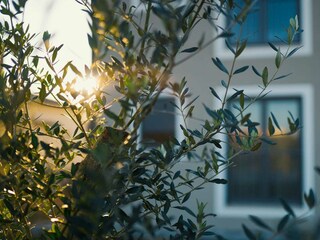 Villa Vrh Entorno 38