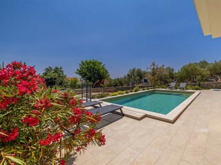 Villa Kornić Registrazione all'aperto 4