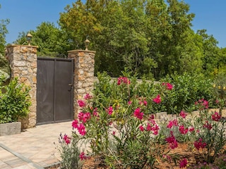 Holiday house Rasopasno Outdoor Recording 8