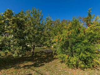 Maison de vacances Linardići Enregistrement extérieur 14