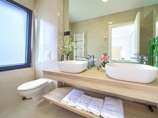 Villa Vrh Features 47