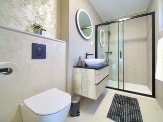 Villa Vrh Caratteristiche 46