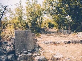 Villa Rasopasno Registrazione all'aperto 8