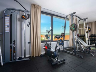 Villa Vrh Caratteristiche 33