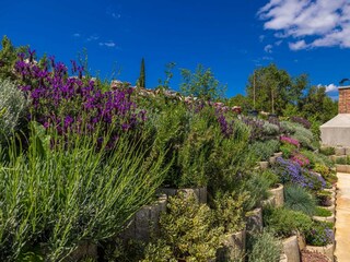 Villa Nenadići Ambiente 62