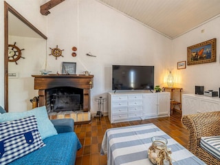 Ferienhaus Ledine