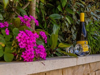 Holiday house Linardići Environment 45