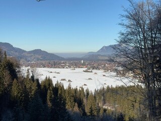 Blick vom Freibergsee