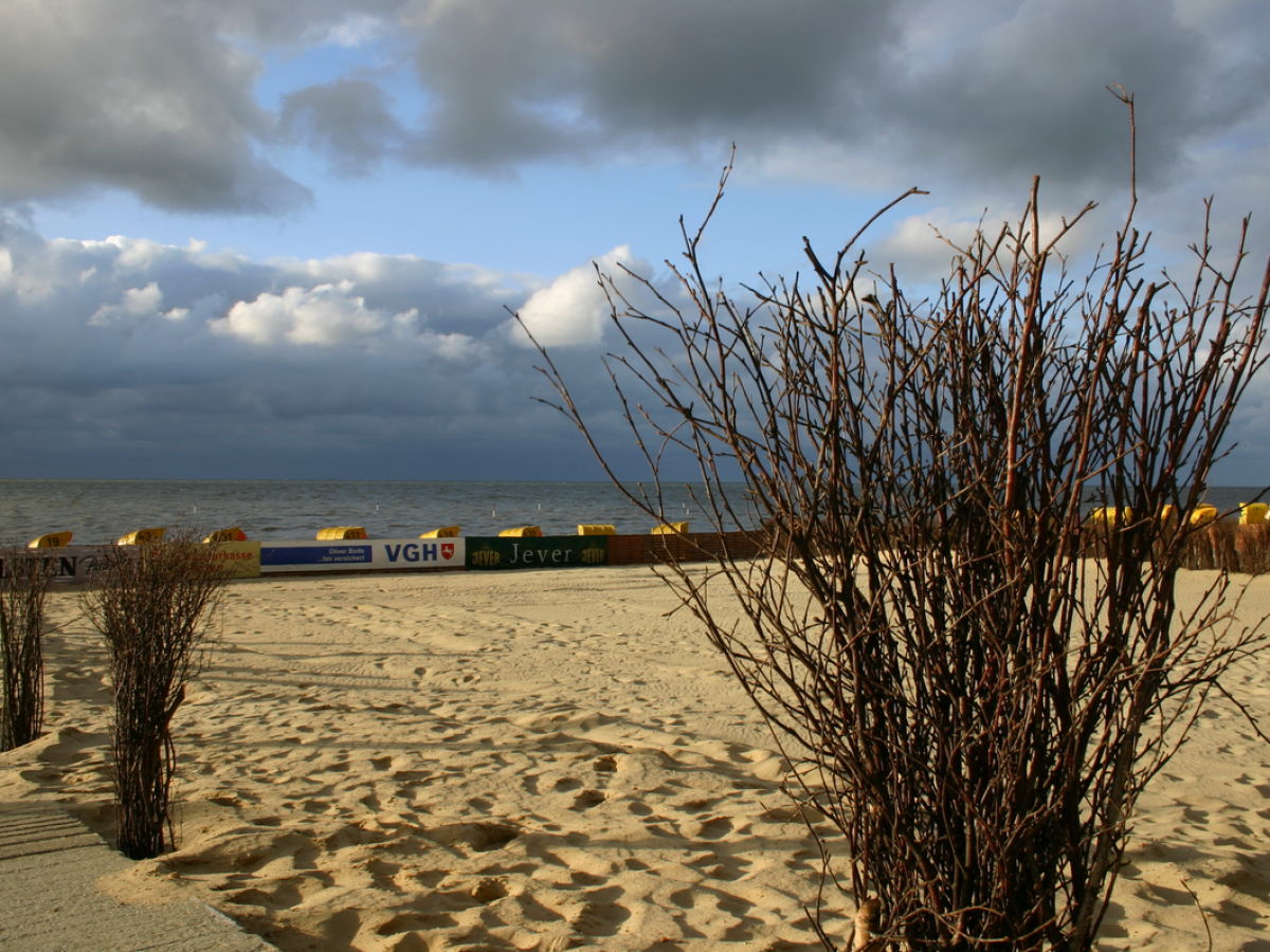 Ferienwohnung Haus Atlantic Cuxhaven 7 Dose Frau Erika Plattner