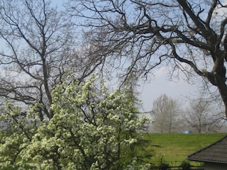 Schönste Natur in direkter  Umgebung.