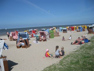 Erholung im Strandkorb