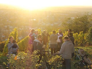 Kurzer Spaziergang in die Weinberge von Bensheim
