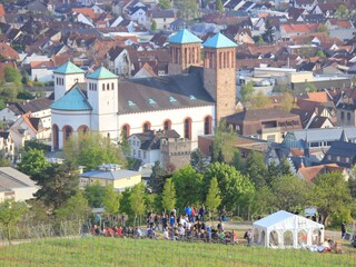 Wein - und Fachwerkregion mit viel Flair und Natur