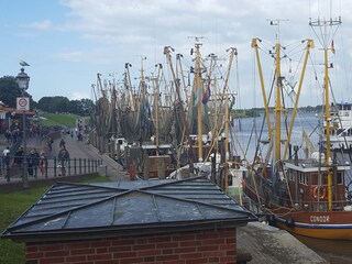 Appartamento per vacanze Greetsiel Ambiente 15