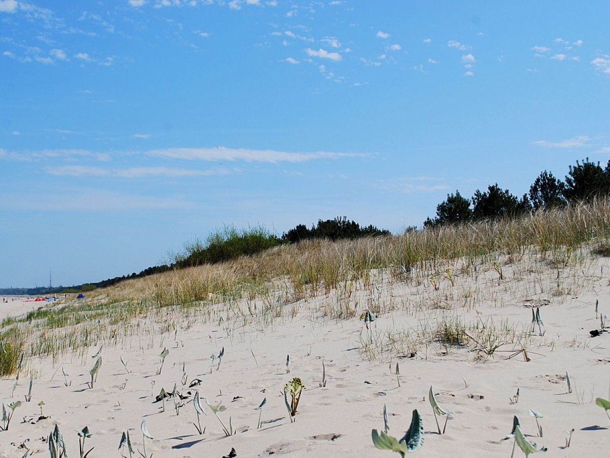 Dünen am Strand