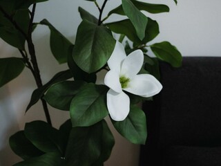 Apartamento de vacaciones Offenbach Características 20