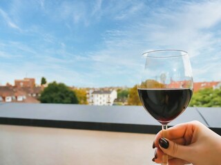 Vakantieappartement Offenbach  33