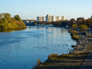 Appartement de vacances Offenbach Environnement 31