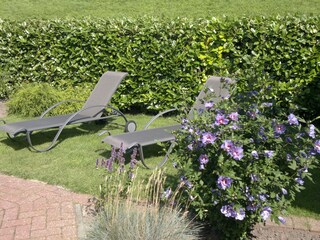 Casa per le vacanze Greetsiel Caratteristiche 13