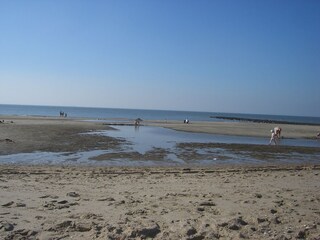 Strand bei Ebbe