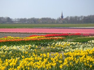 Vakantiehuis Julianadorp Omgeving 27