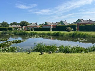 Bungalow Julianadorp Registrazione all'aperto 10